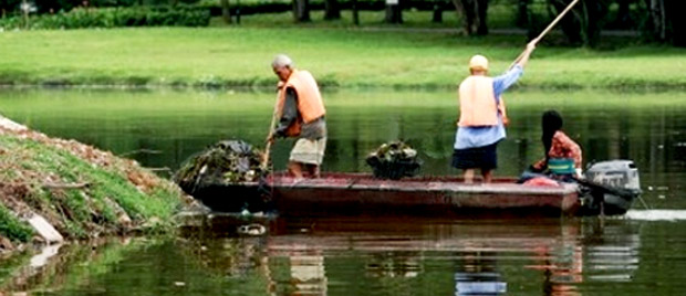 Workers Cleaning Rubbish