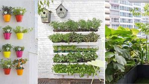 How to Create the Ideal Balcony Garden - Fortius Infra